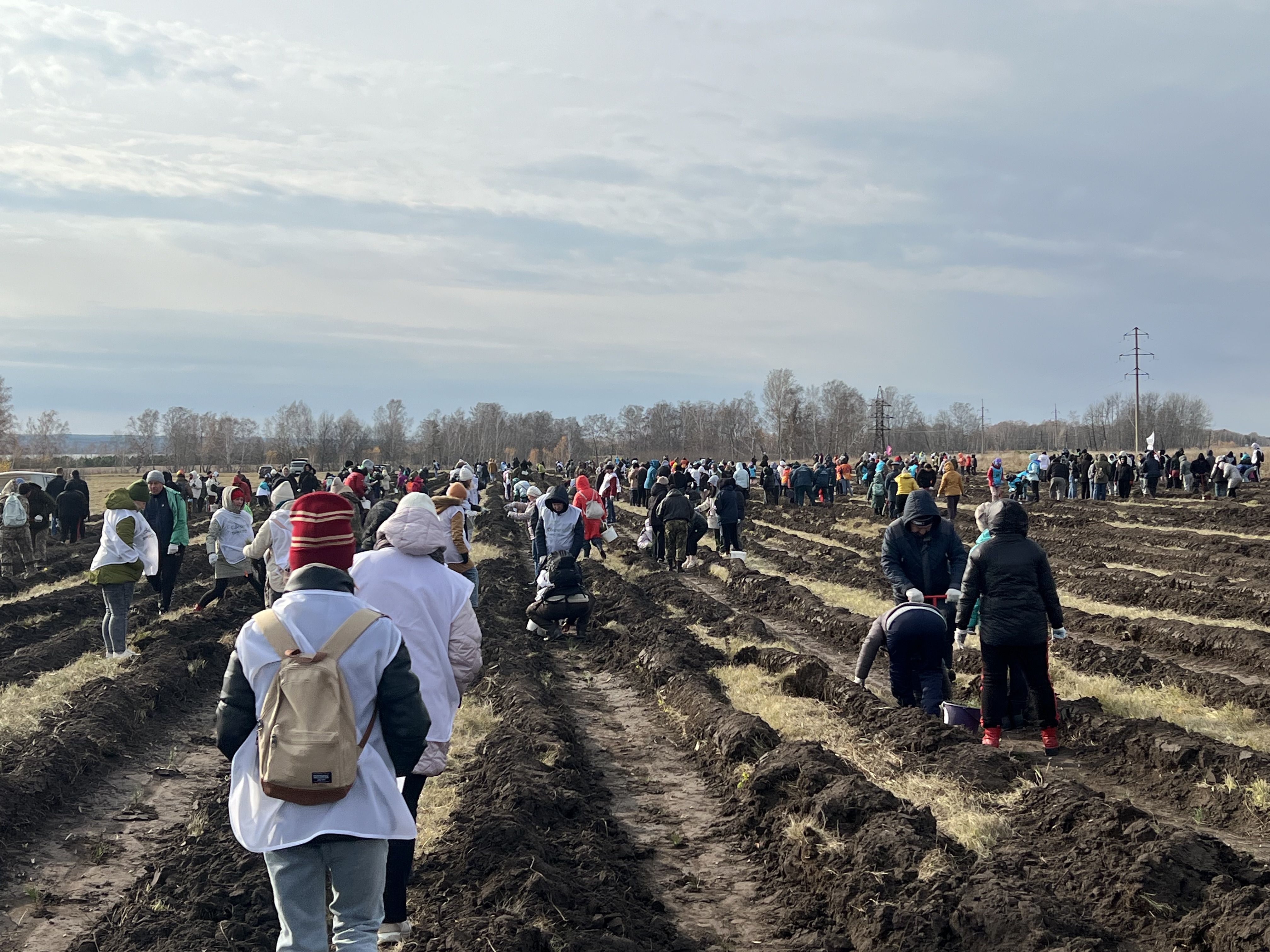 Всероссийская акция «Сохраним лес»